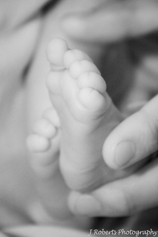 Newborn babies foot B&W - newborn baby portrait photography